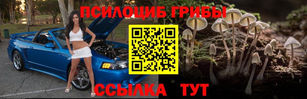 Псилоцибиновые грибы Magic Shrooms  Вход с VPN  Новозыбков  Галлюциногенные грибы GOLDEN TEACHER 