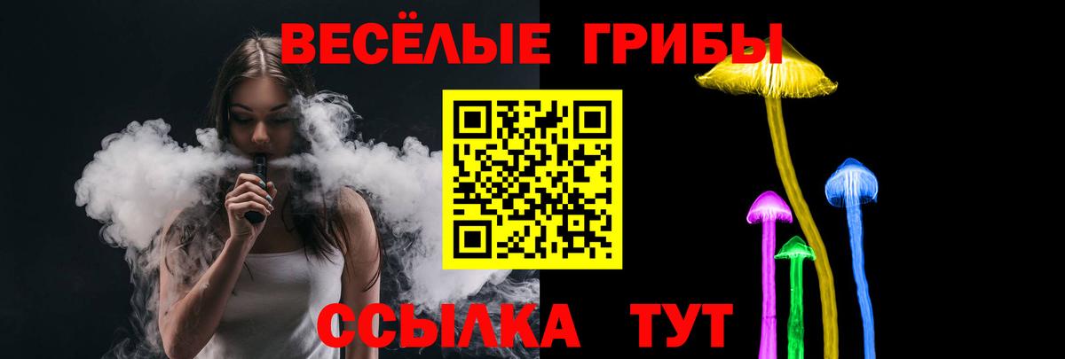 Псилоцибиновые грибы Psilocybine cubensis Новозыбков