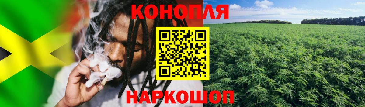Конопля семена  Конопля тримм  Новозыбков  Каннабис марихуана  Вход с VPN 